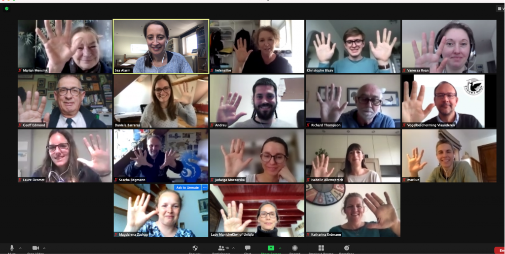 Eurowa members gather online for their 2021 network meeting