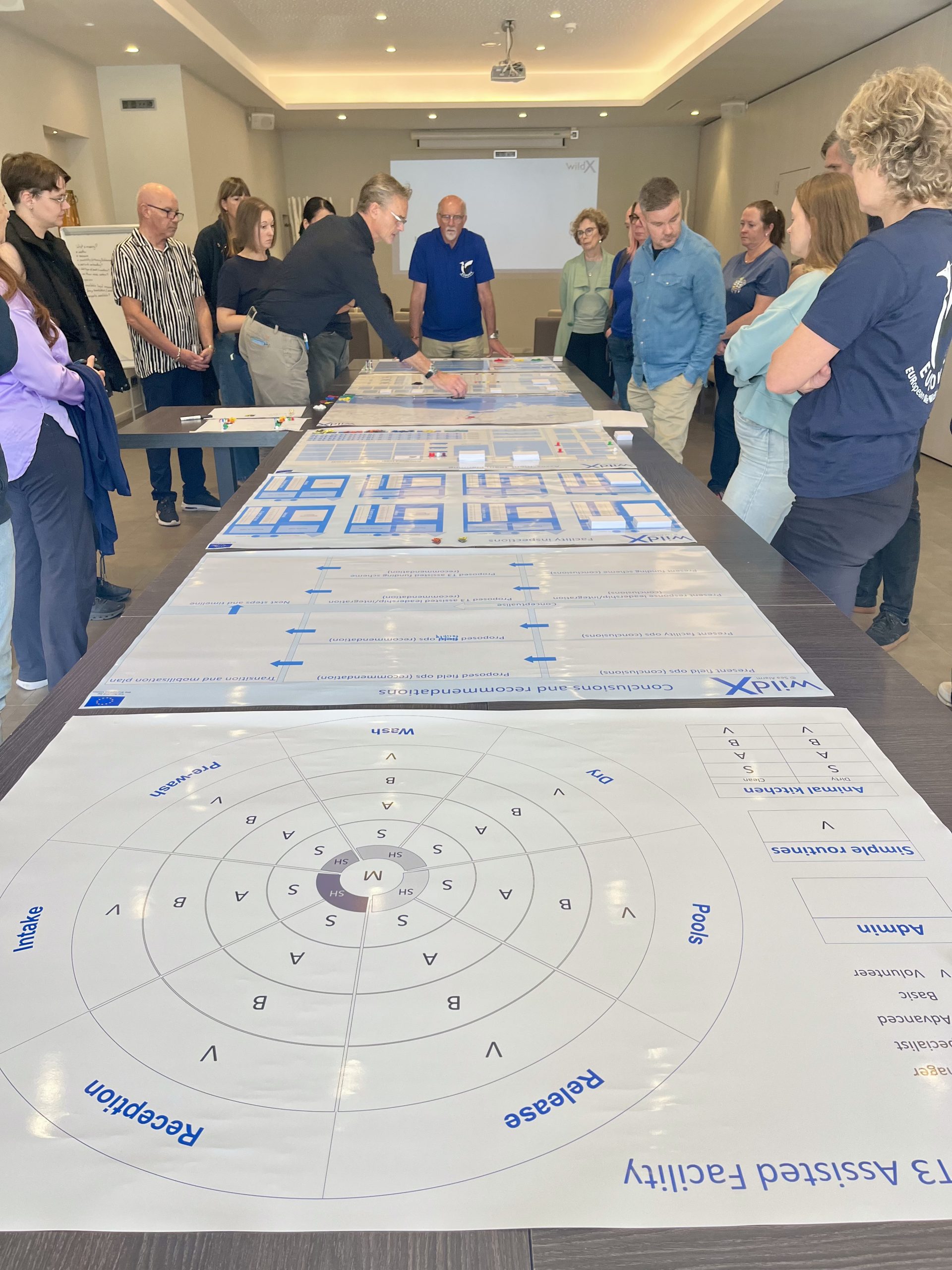 WildX Assessment Course