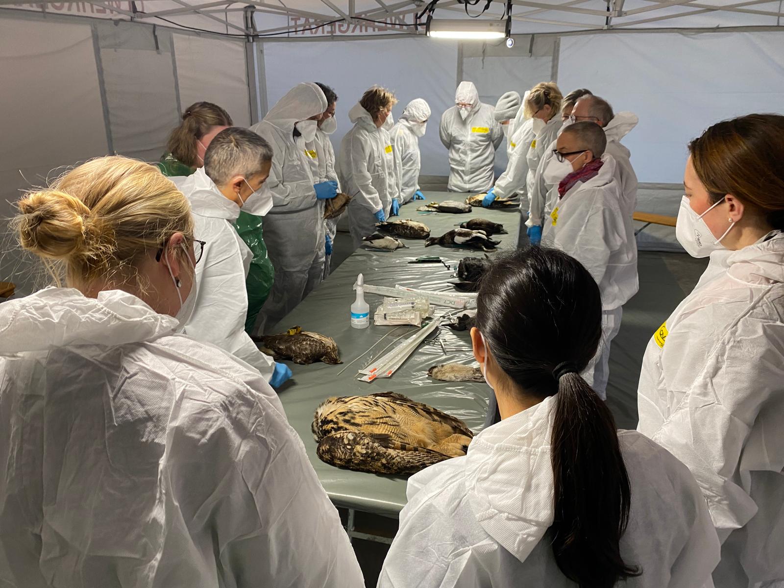 Vet Specialist training course in Germany