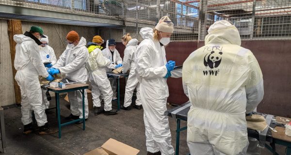 Oiled wildlife training Finland