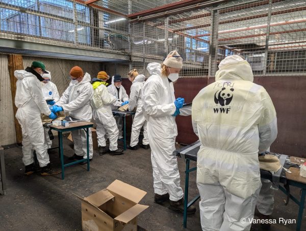 Oiled wildlife training Finland