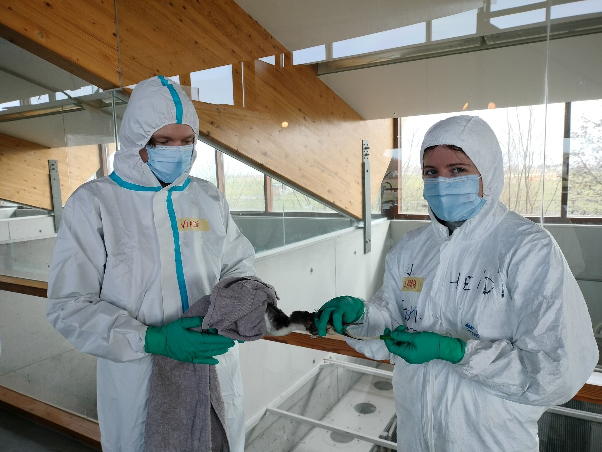EUROWA Basic training in Ostende